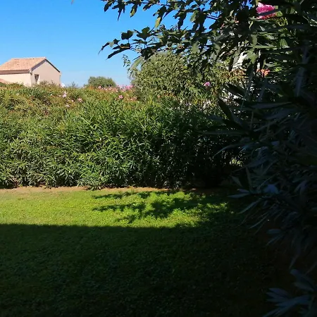 Tatil Evi Mini T4 Dans Avec Piscine A 150 M De La Cervione